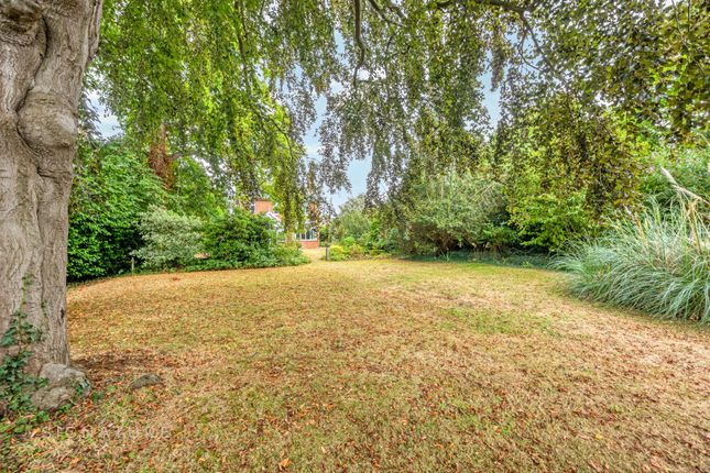 21 South Walsham Road, Norwich photo 3