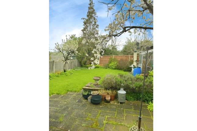 Semi-detached house to rent in Hillcrest Road, Horndon-On-The-Hill, Stanford-Le-Hope, Essex