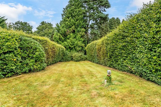 25, Snatts Hill, Oxted photo 3