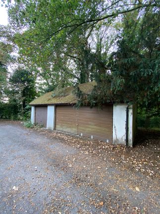 Double Garage, Copper Beech Close photo 4