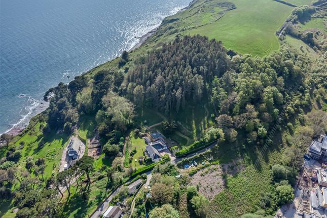 Thumbnail Bungalow for sale in Looe Hill, Seaton