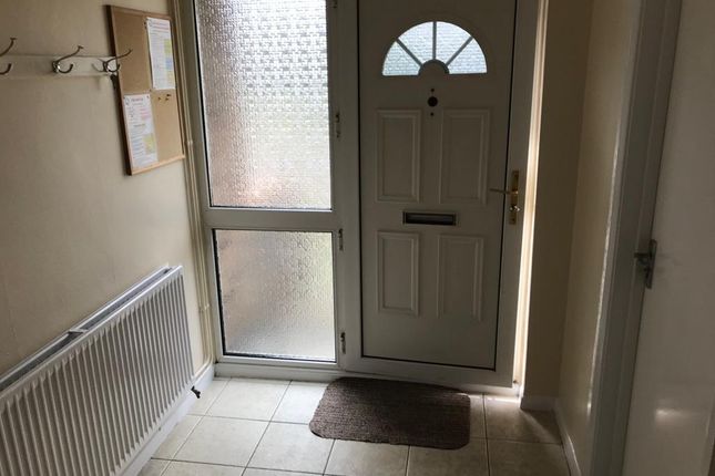 Semi-detached house to rent in Magnolia Drive, Colchester