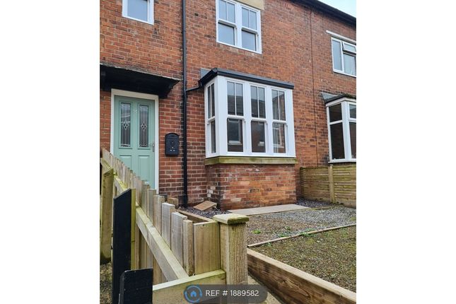 Thumbnail Terraced house to rent in May Avenue, Ryton