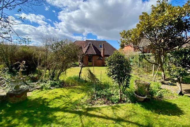 Enclosed Rear Garden