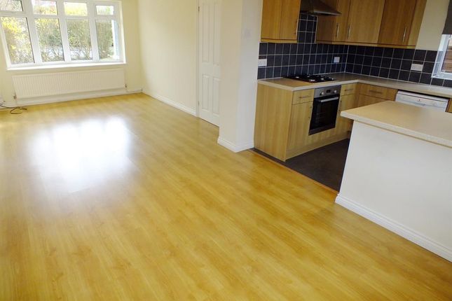 23, Plantation Avenue, Shadwell photo 2