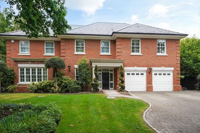 Detached house to rent in Water Lane, Cobham