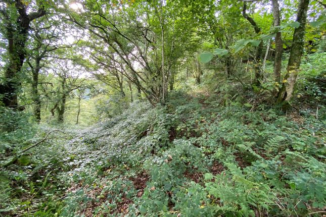 Land for sale in Cwmduad, Carmarthen