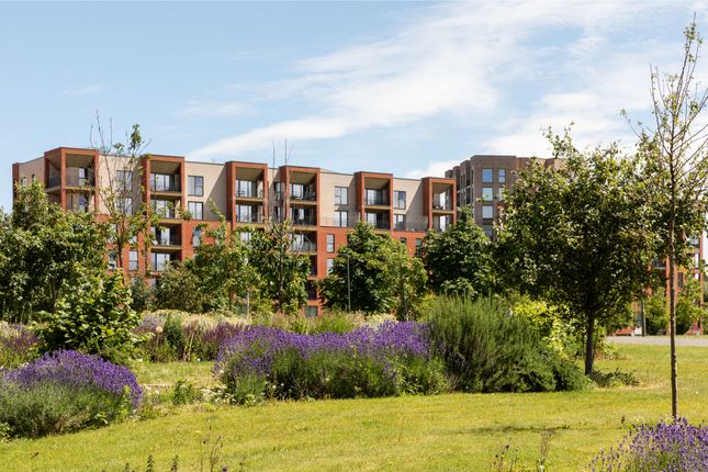 2231-6245, 144 Colindale Avenue, Colindale, London photo 4
