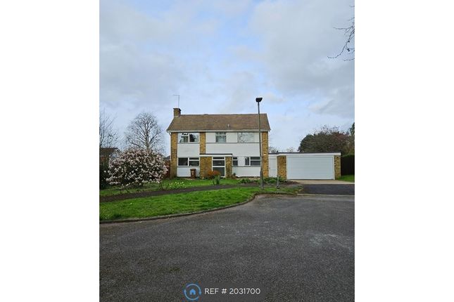 Thumbnail Detached house to rent in Blakes Way, Welwyn
