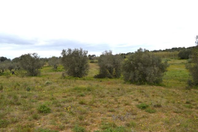 Land for sale in Vila De Frades, Vidigueira, Beja