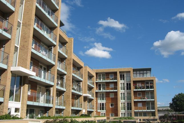 External