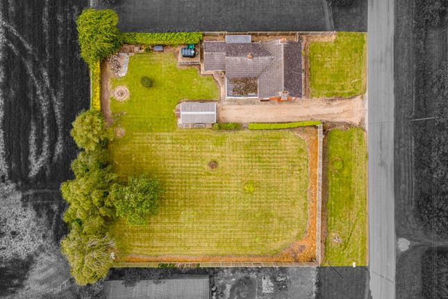 The Bungalow, Fenhouses Lane, Boston photo 4