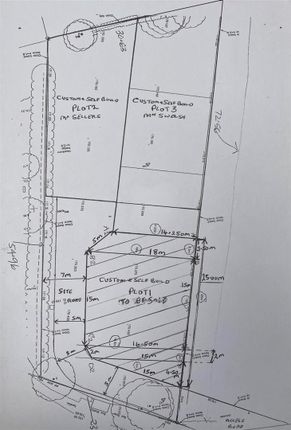 Picture2.Jpg