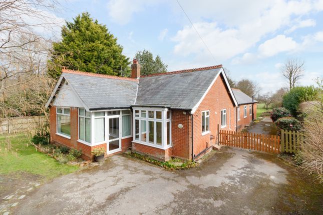 Thumbnail Detached bungalow to rent in Gables, Stodmarsh Road, Canterbury