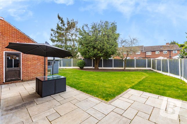 Thumbnail Detached house for sale in Wickfield Ash, Chelmsford, Essex