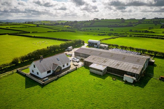 Thumbnail Farm for sale in Dihewyd, Lampeter