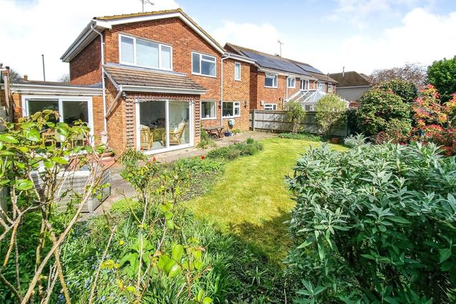 Thumbnail Detached house for sale in Ash Street, Ash, Guildford, Surrey