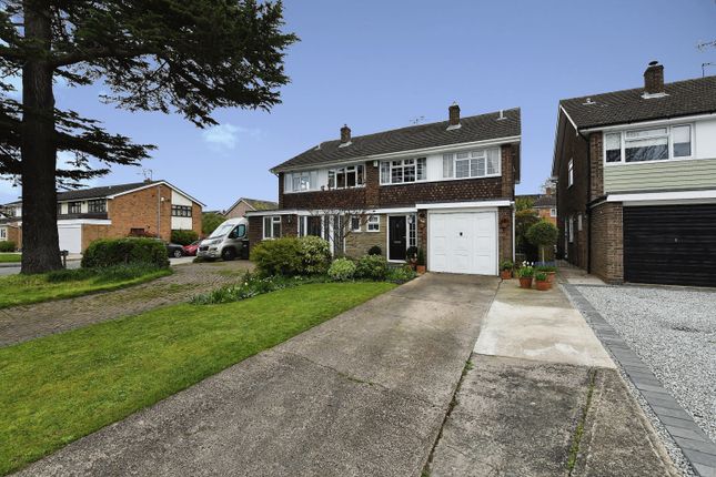 Thumbnail Semi-detached house for sale in Watchouse Road, Chelmsford, Essex