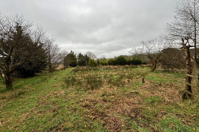 Land for sale in Bwlchllan, Lampeter
