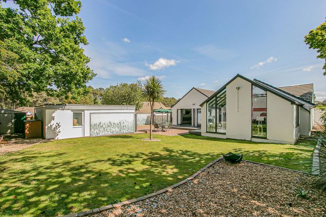 9, Willow Way, Ferndown photo 3