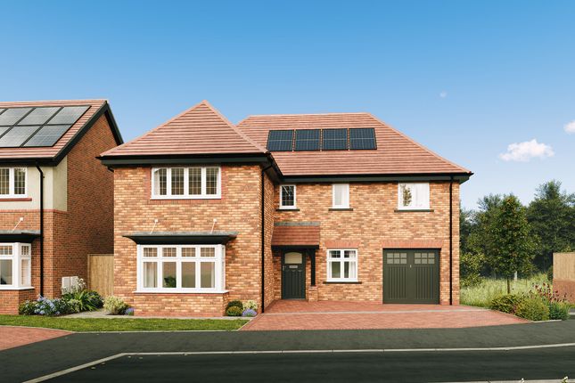 Exterior Ely