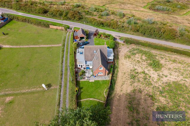 The Nutshell, Sands Road, Filey photo 4