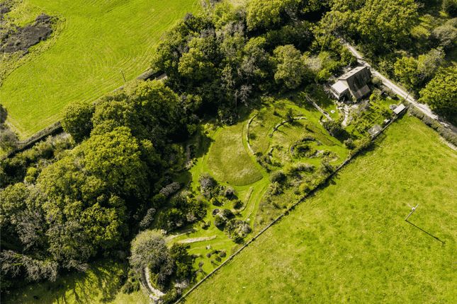 Ysgoldy'r Cwrt, Tregaron photo 4