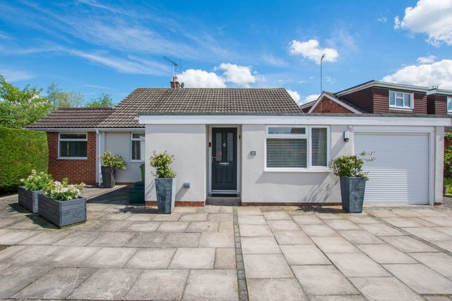 Thumbnail Detached bungalow to rent in Long Mynd Avenue, Up Hatherley, Cheltenham