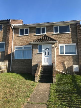 Thumbnail Terraced house to rent in Alyssum Walk, Colchester