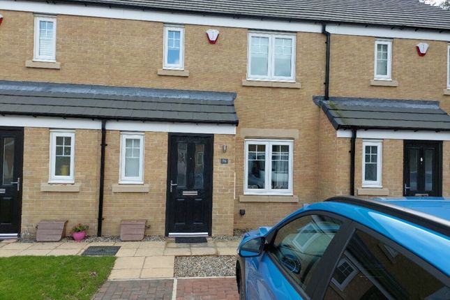 Thumbnail Terraced house to rent in Scampston Drive, Beckwithshaw, Harrogate