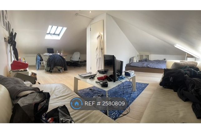 Living Room/Bedroom 4