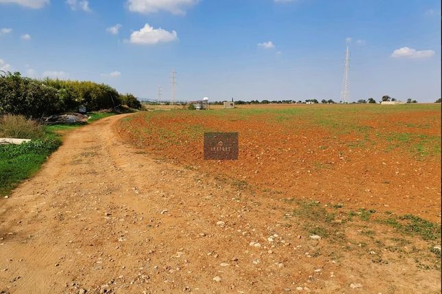 Land for sale in Ormideia, Cyprus