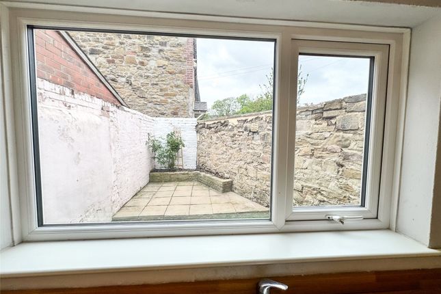 Kitchen Window
