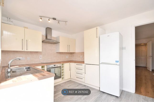 Acorn Grove, Cardiff photo 3
