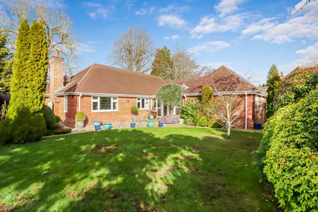Thumbnail Bungalow for sale in Sandelswood End, Beaconsfield