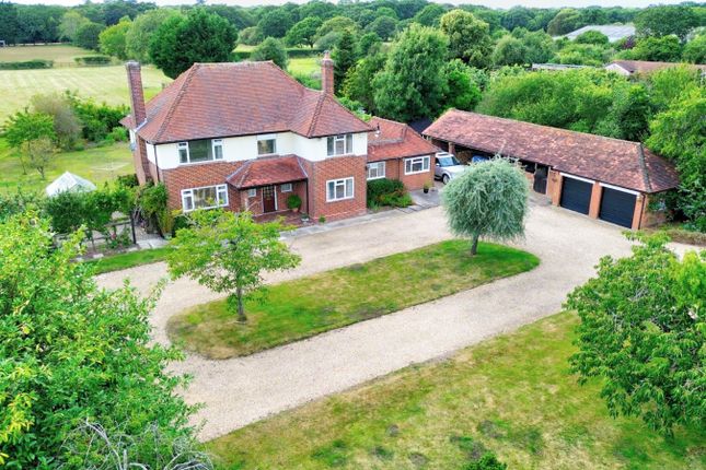 Thumbnail Detached house for sale in Bashley Common Road, Bashley, New Milton