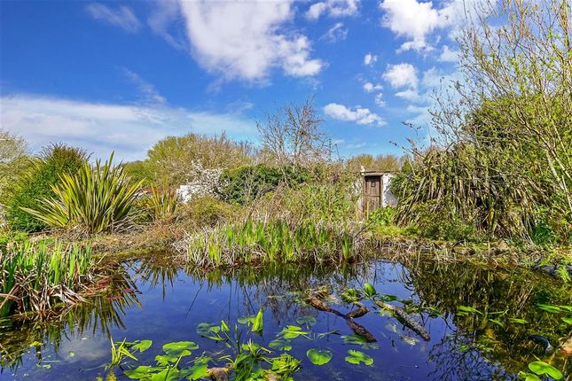 Thumbnail Detached bungalow for sale in Hollands Hill, Martin Mill, Dover, Kent