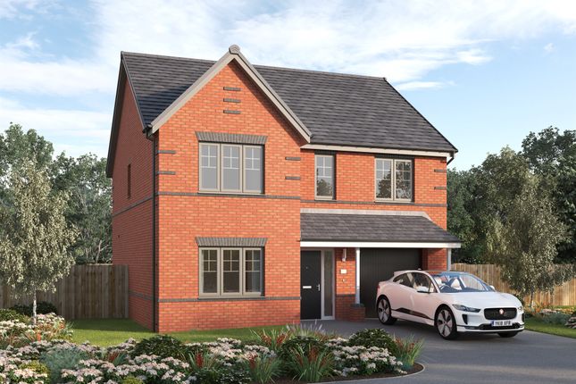 Thumbnail Detached house for sale in Brownsmill Way, Nottingham
