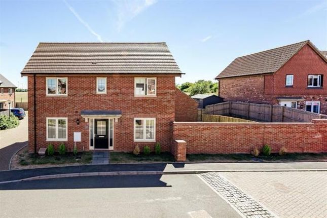 Thumbnail Detached house to rent in Hobby Drive, Corby