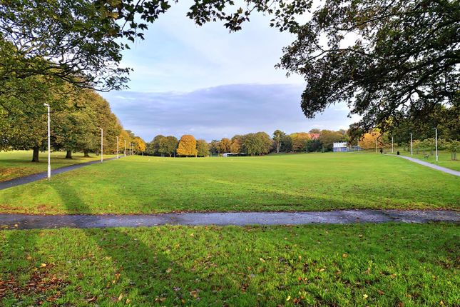 Dane Park
