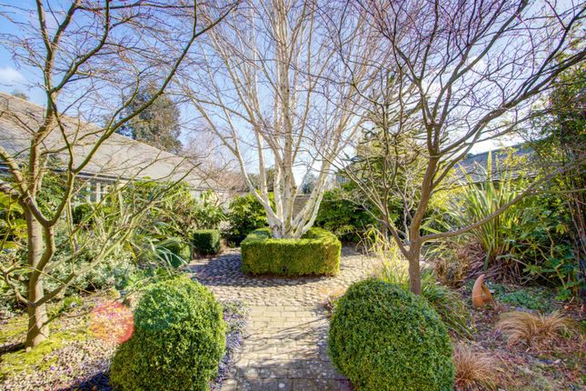 Front Courtyard