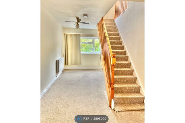 This Has Been Recarpeted.