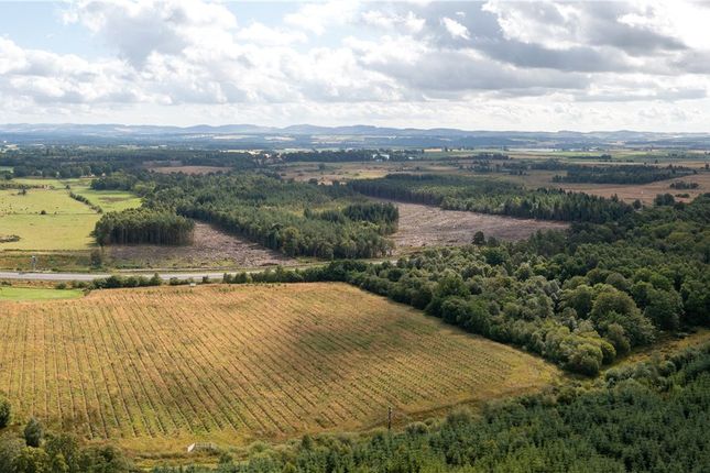 Thumbnail Land for sale in Gelly Wood And Muir Of Thorn, Bankfoot, Perth And Kinross