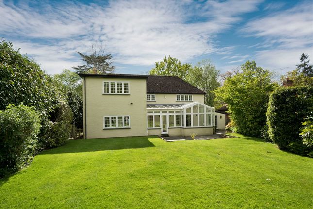 Detached house to rent in Sunning Avenue, Ascot, Berkshire