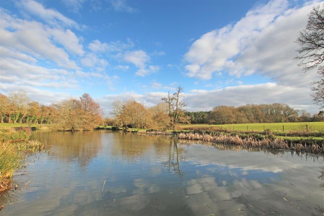 Detached house to rent in London Road, Hassocks, Sussex