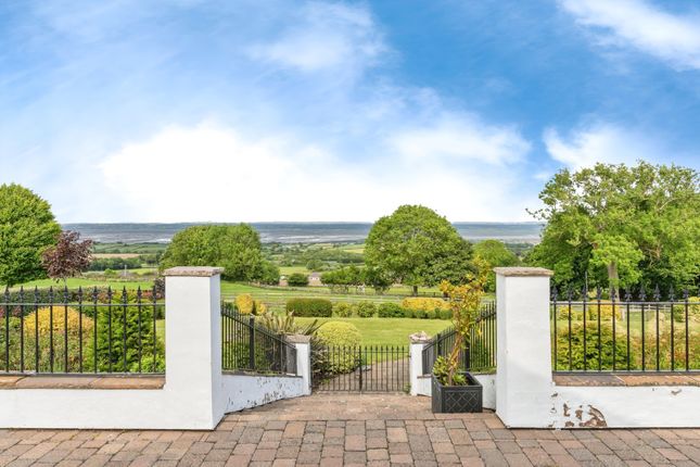 Terrace Steps
