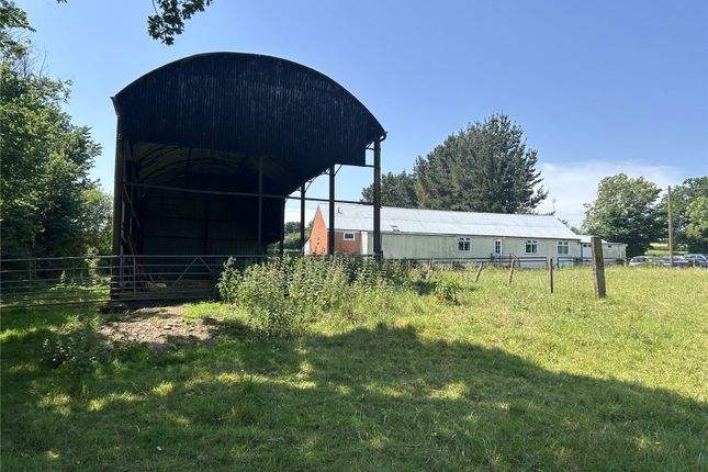 Barn At Northleigh,, Northleigh, Devon photo 3
