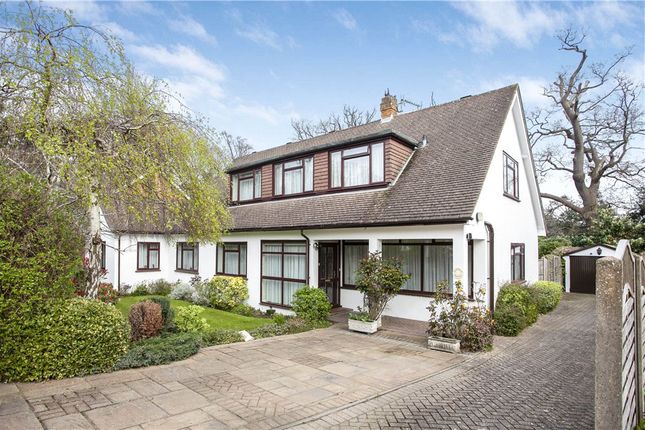 Thumbnail Detached house for sale in Alderside Walk, Englefield Green, Egham, Surrey