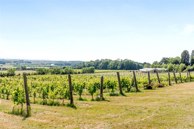 Land for sale in Somerby Vineyard &amp; Winery, Somerby, Barnetby, Lincolnshire