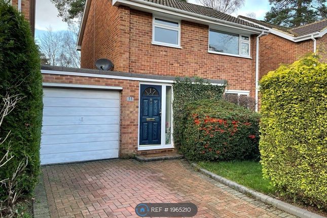 Thumbnail Detached house to rent in Coniston Close, Camberley